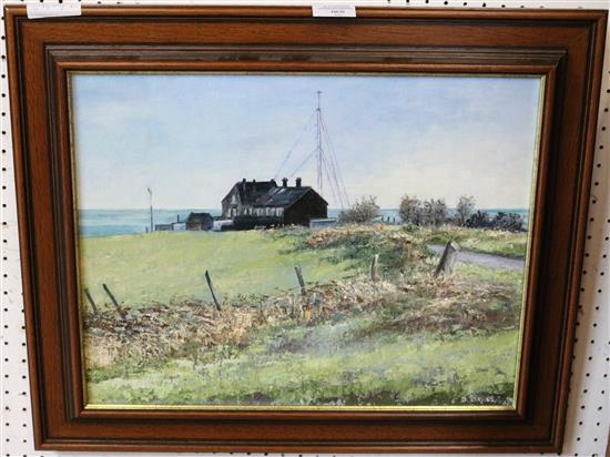 Oil of Coastguard Cottages by Dorothea Davies